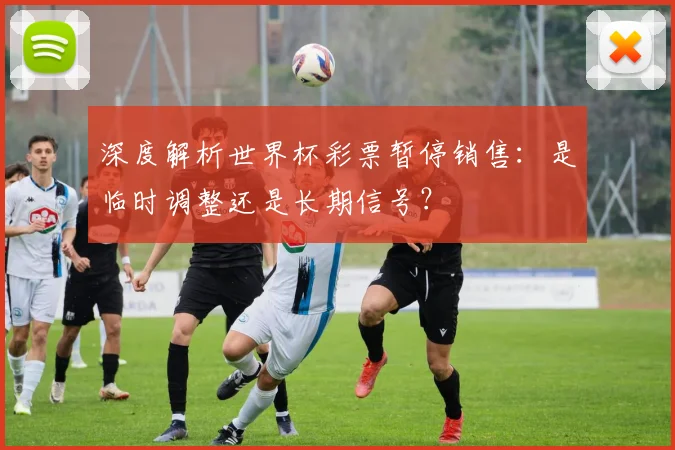 深度解析世界杯彩票暂停销售:是临时调整还是长期信号?