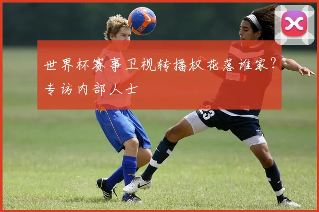 世界杯赛事卫视转播权花落谁家?专访内部人士