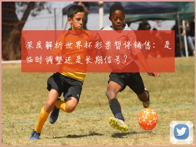 深度解析世界杯彩票暂停销售:是临时调整还是长期信号?