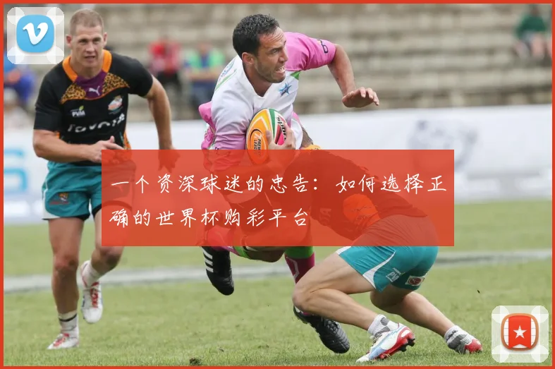 一个资深球迷的忠告:如何选择正确的世界杯购彩平台