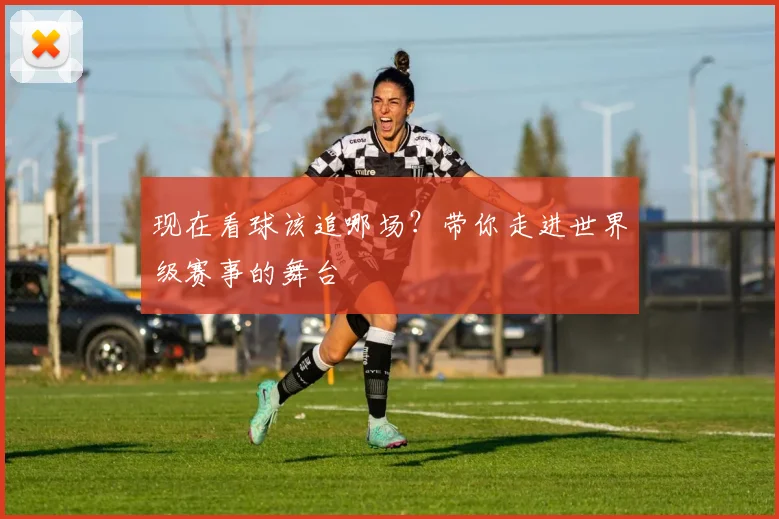 现在看球该追哪场?带你走进世界级赛事的舞台