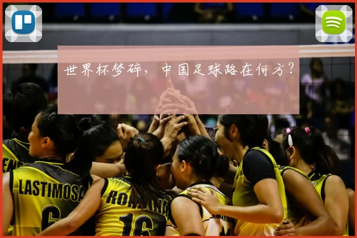 世界杯梦碎，中国足球路在何方？