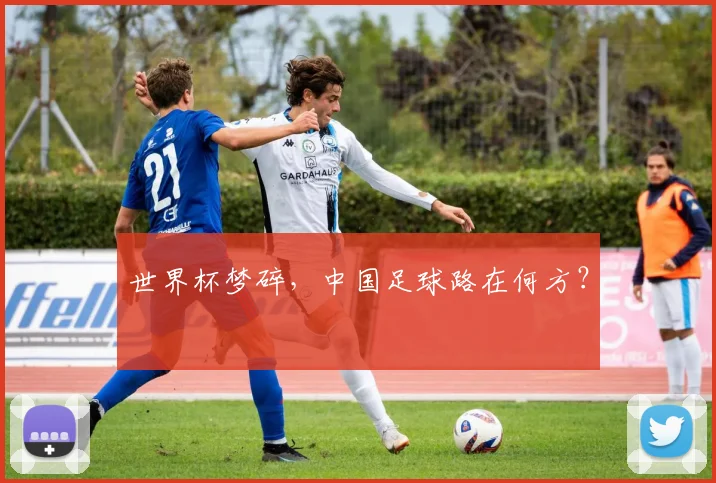 世界杯梦碎，中国足球路在何方？